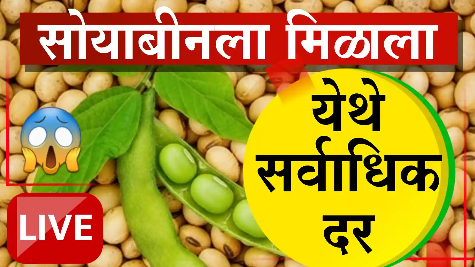 सोयाबीन बाजार