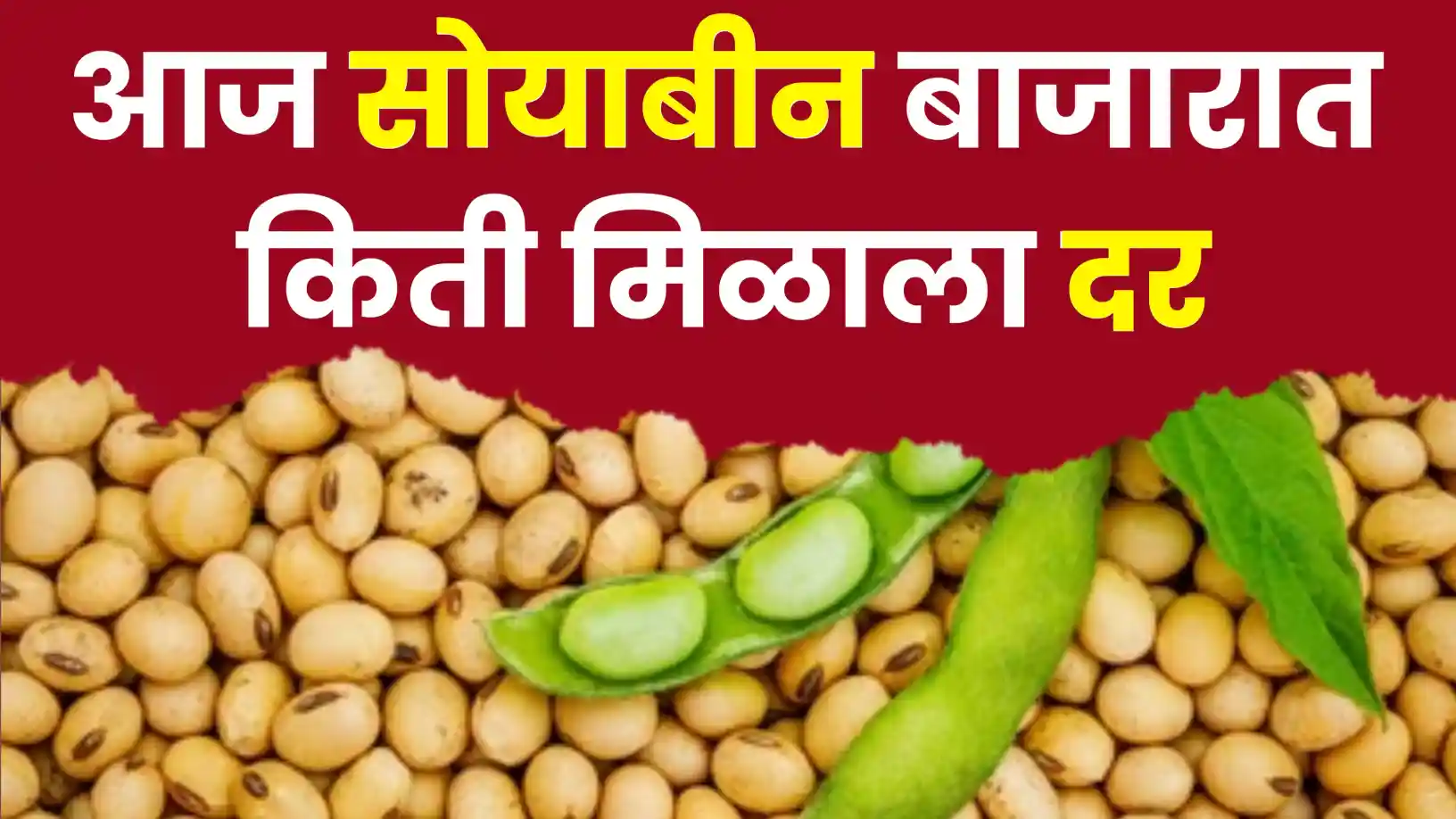 सोयाबीन बाजारात 'बिजवाई'चा पुन्हा विक्रम