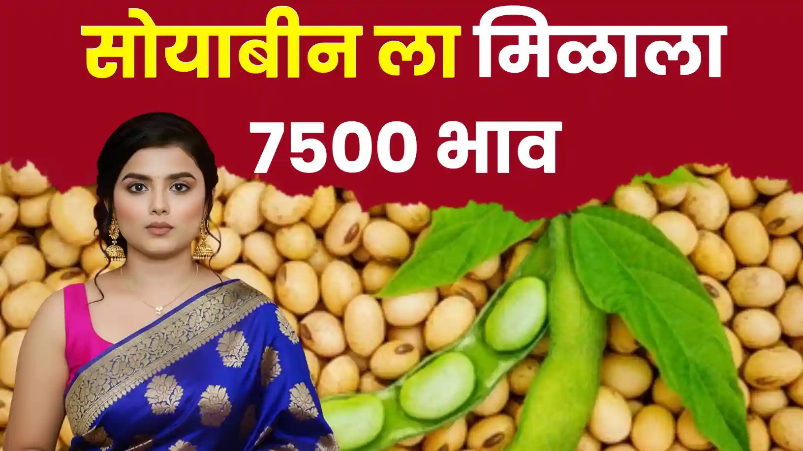सोयाबीनला ७५०० रुपयांचा भाव