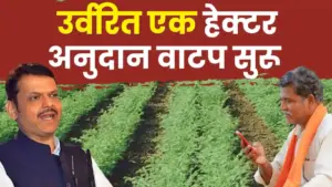 अतिवृष्टीग्रस्त शेतकऱ्यांसाठी खुशखबर