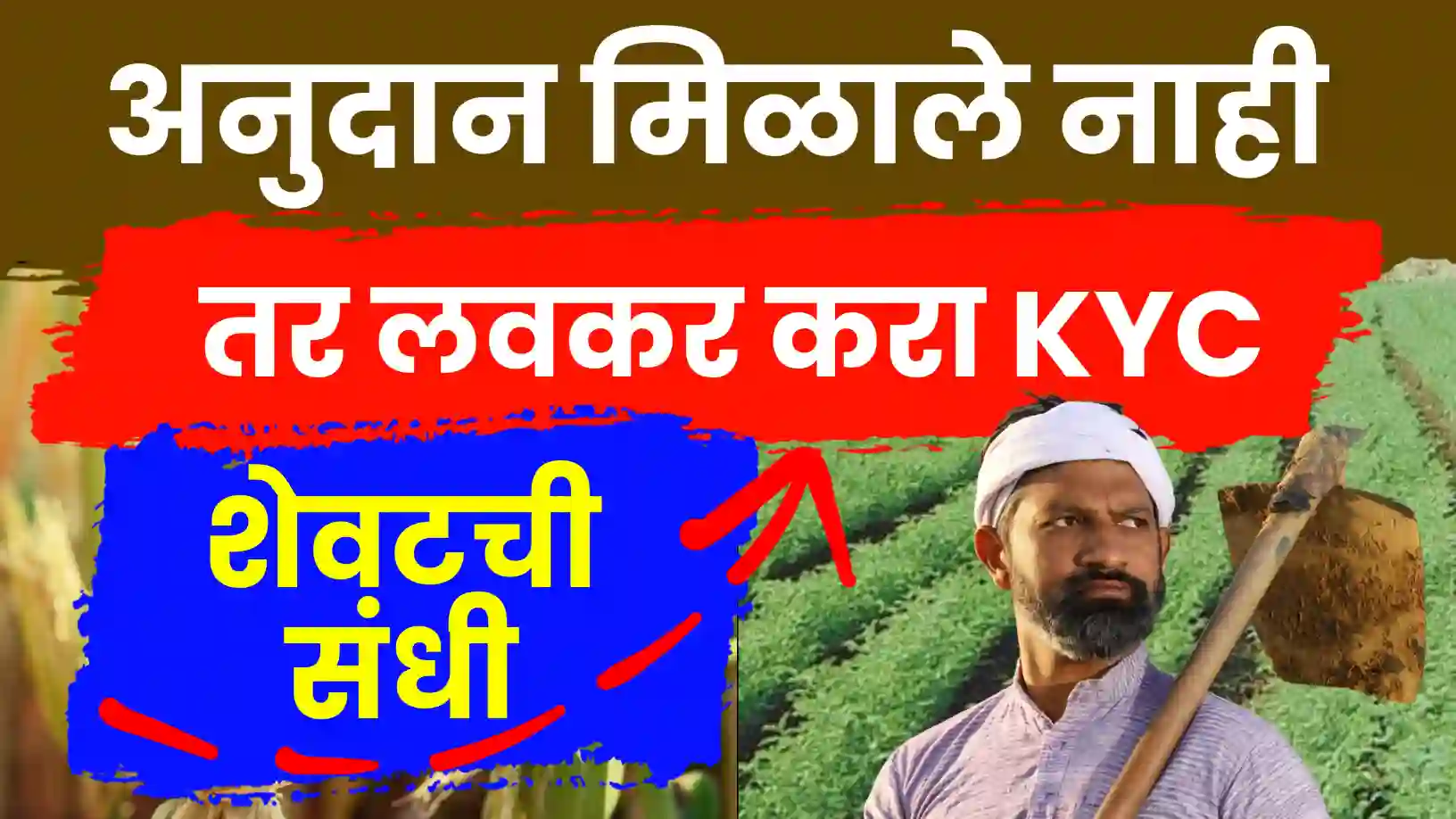 अतिवृष्टी अनुदान